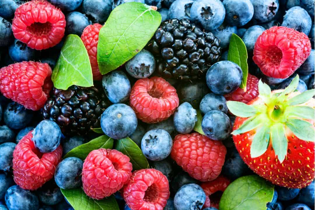 Berries dual efficient metabolism food list