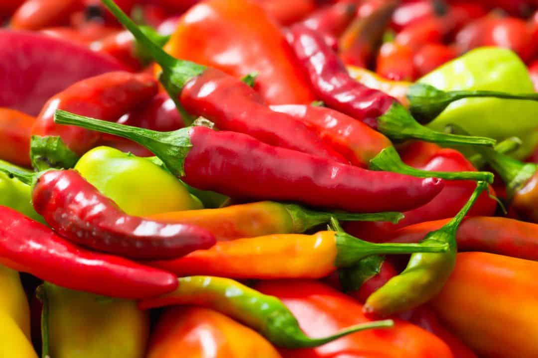 Chili peppers dual efficient metabolism food list