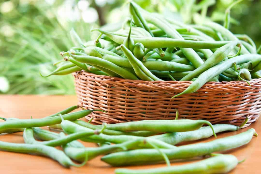 Green beans