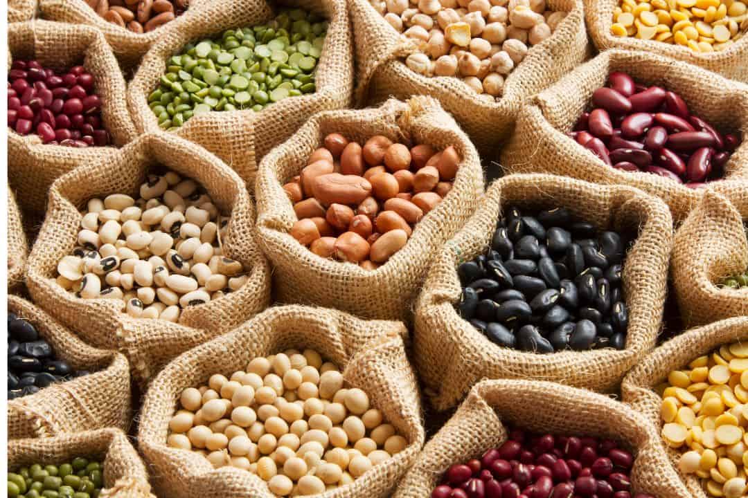 Legumes dual efficient metabolism food list