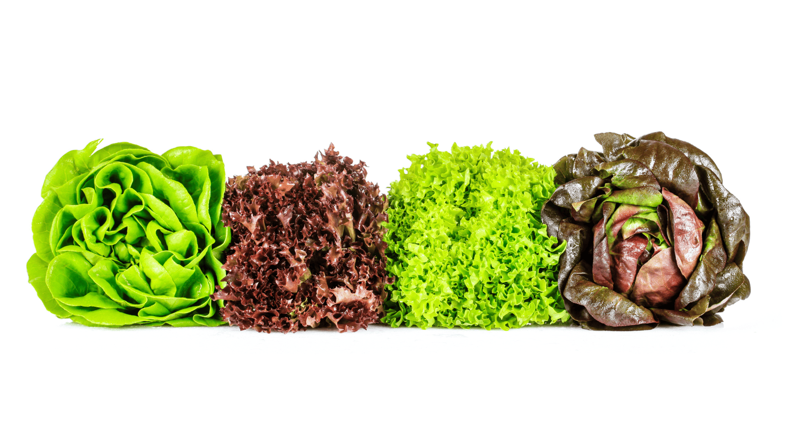 Low Fructose Intolerance Food List For Malabsorption