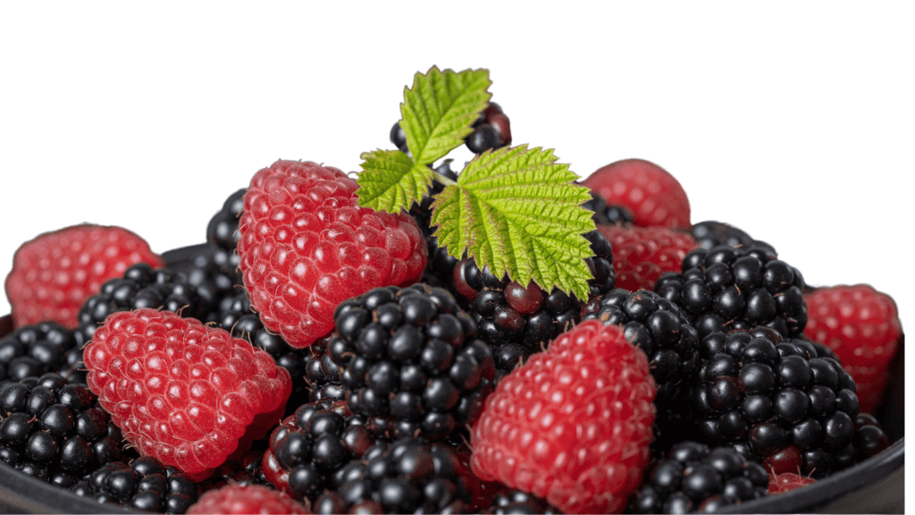 Blackberries and raspberries