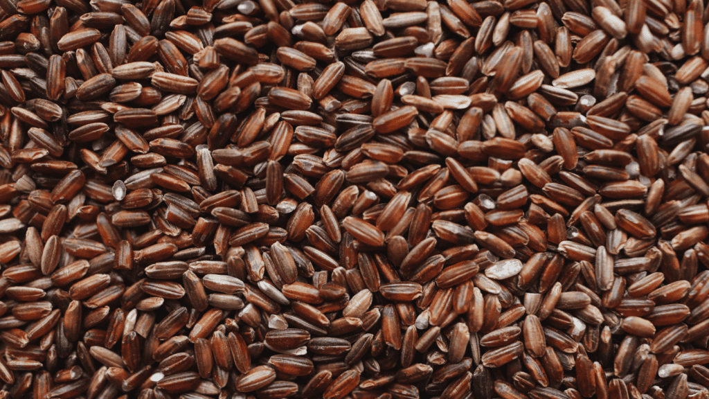 Brown rice or wild rice