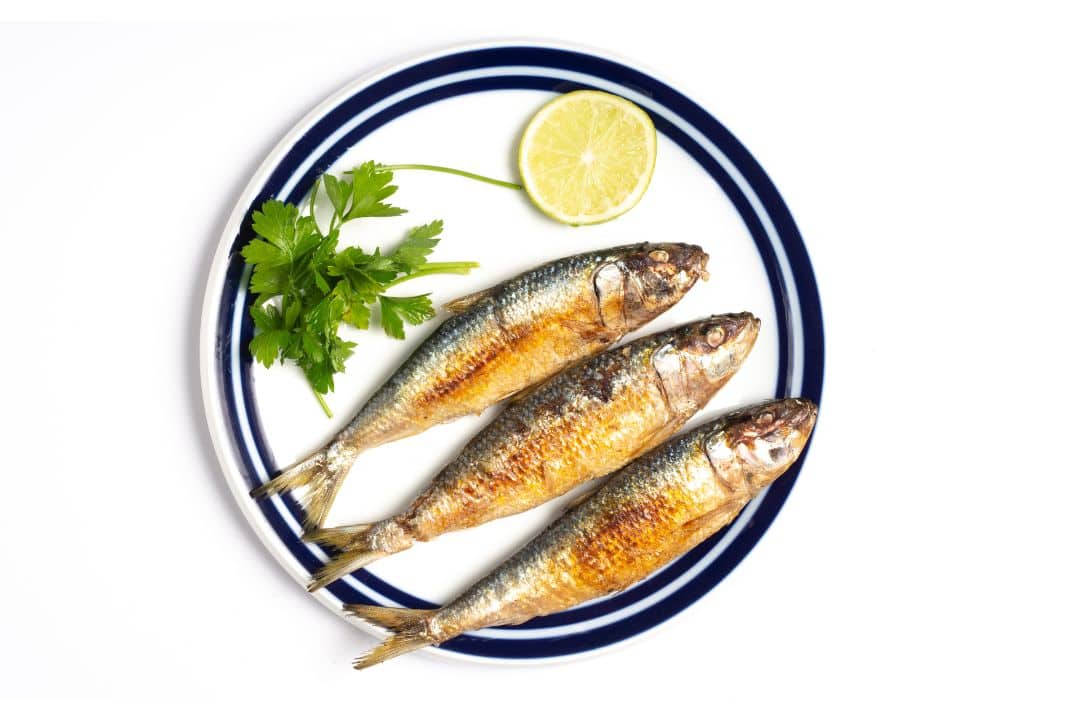 Sardines