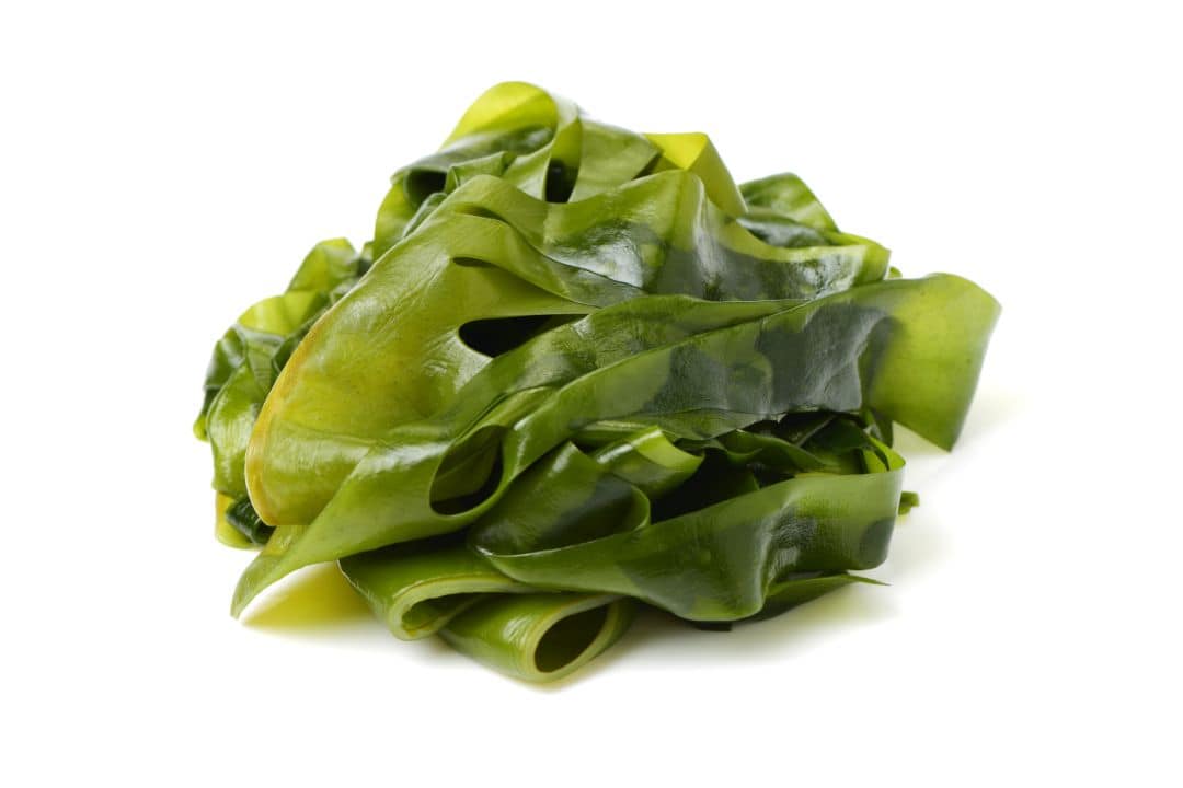 Seaweed dual efficient metabolism food list