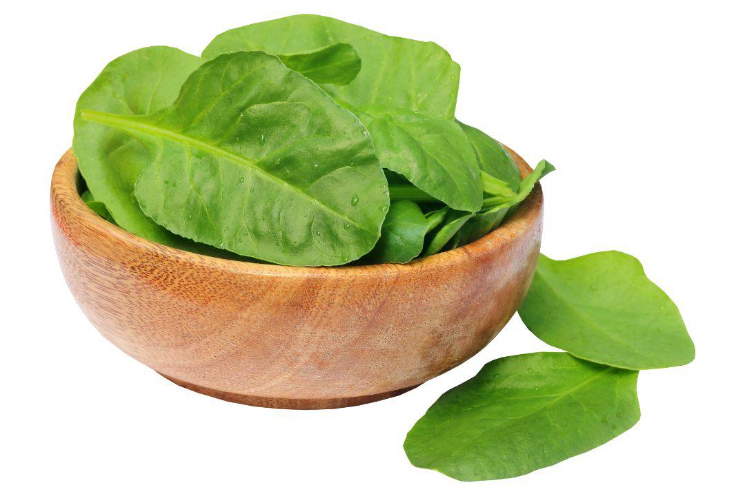 Spinach dual efficient metabolism food list