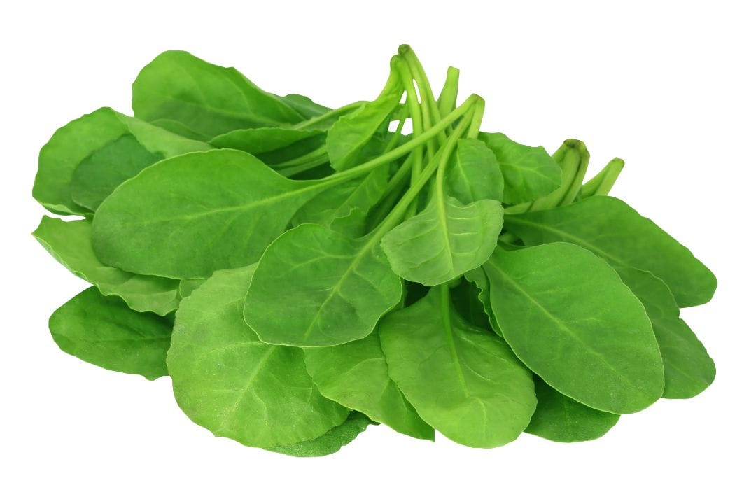 Spinach ideal protein food list
