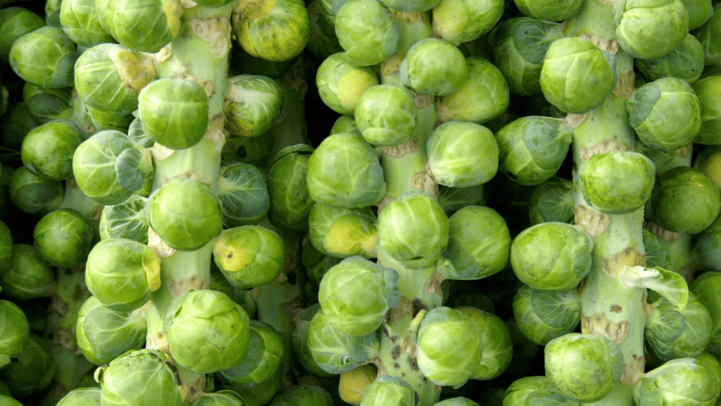 Brussels sprouts