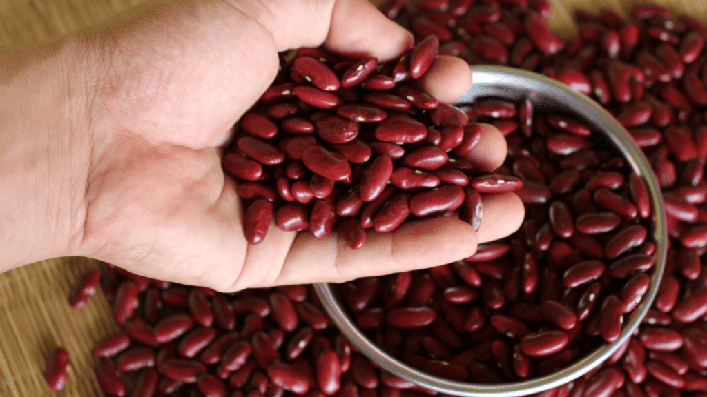 Kidney beans