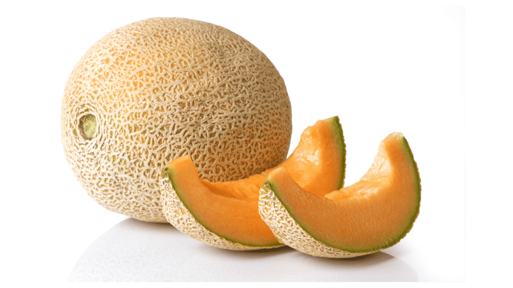 Cantaloupe