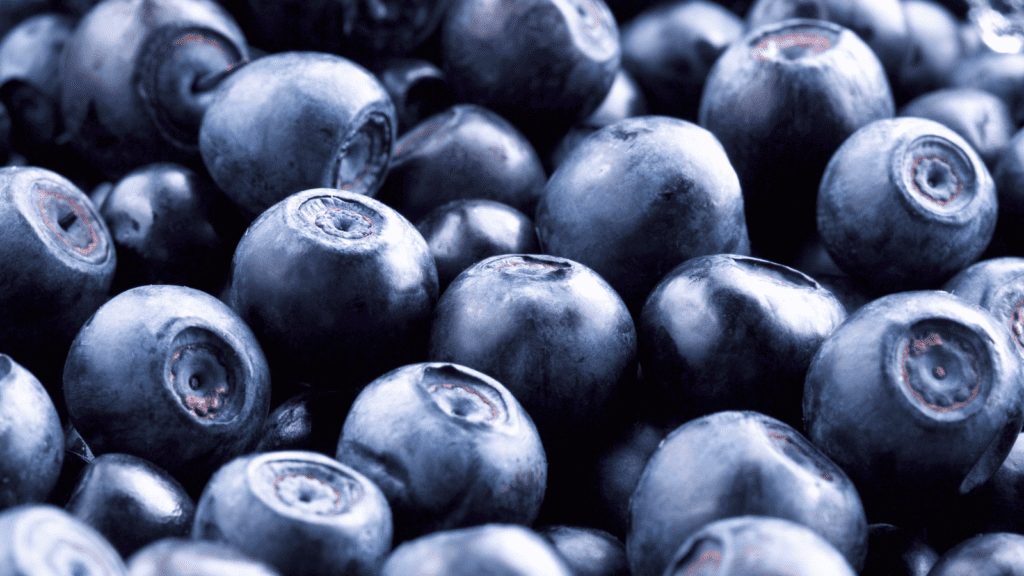 Bilberries