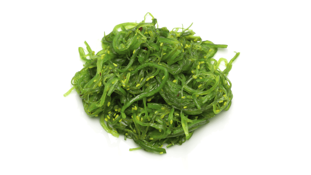 Seaweeds