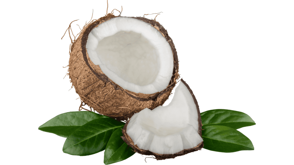 Coconut