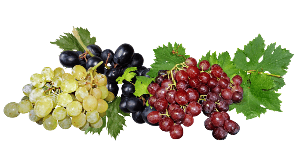 Grapes