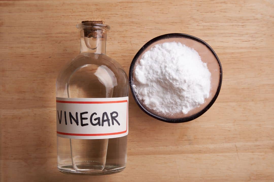 Vinegar