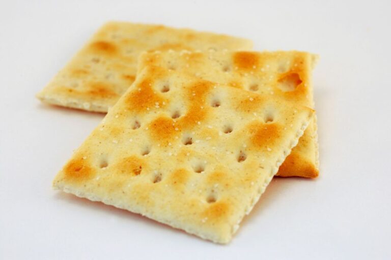 Are saltines vegan friendly? Quick guide to crackers