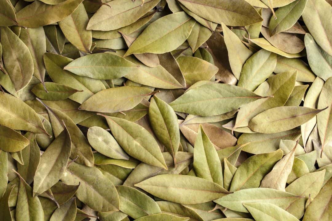 Bay leaves non perishable thanksgiving food list