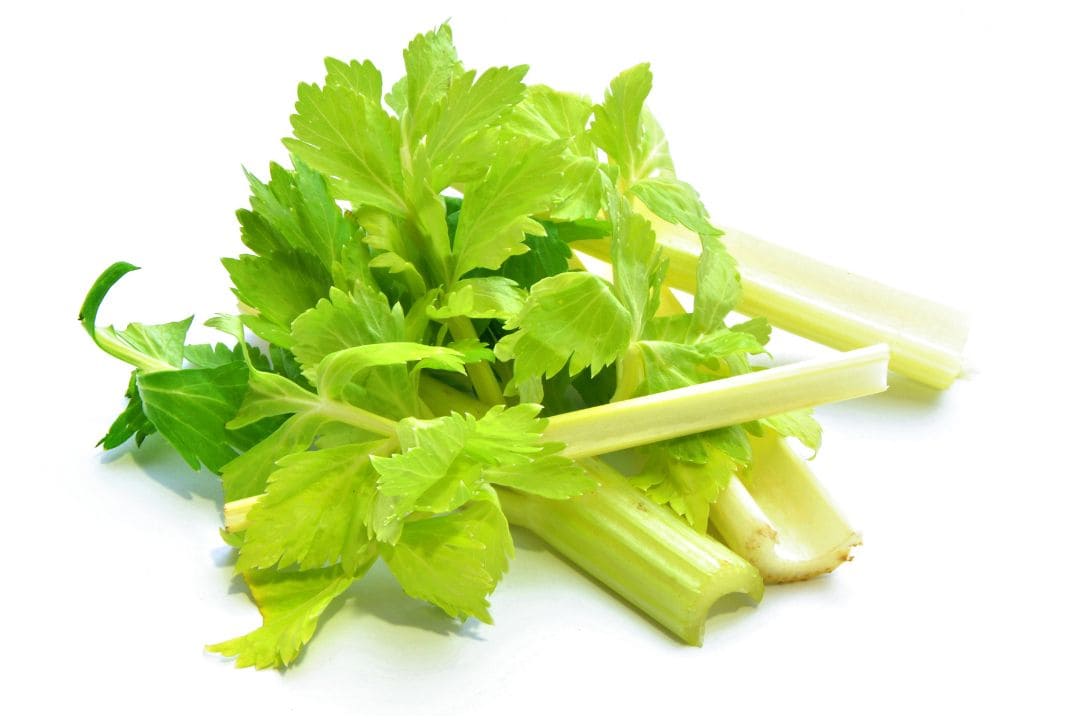 Celery that help whiten teeth