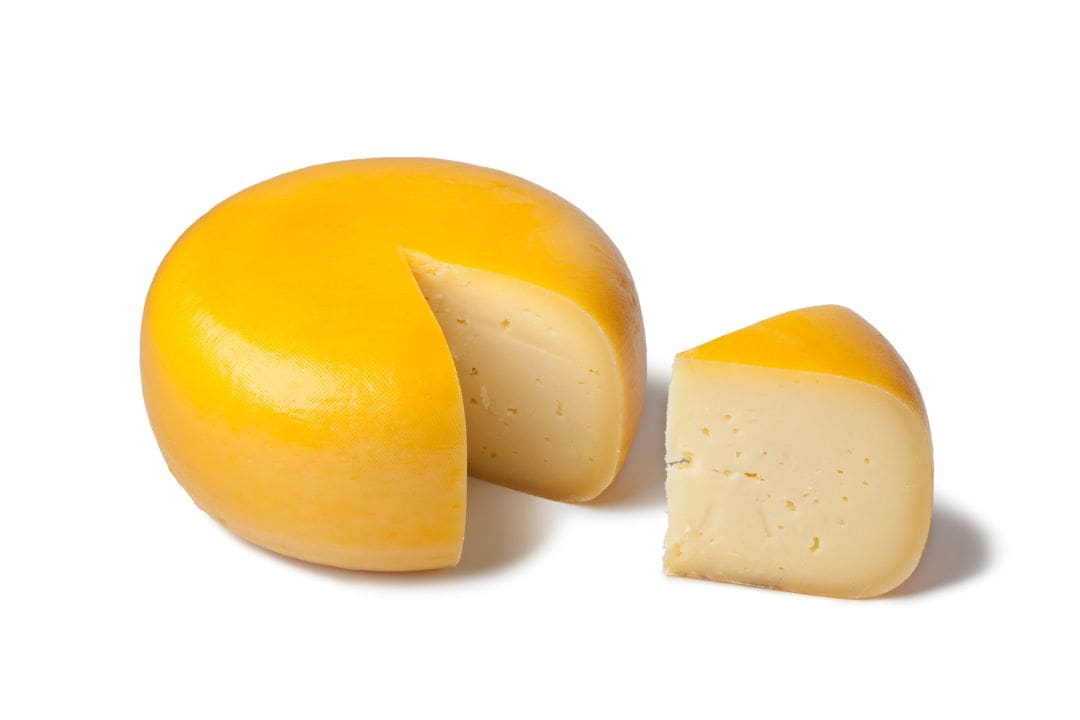 Gouda