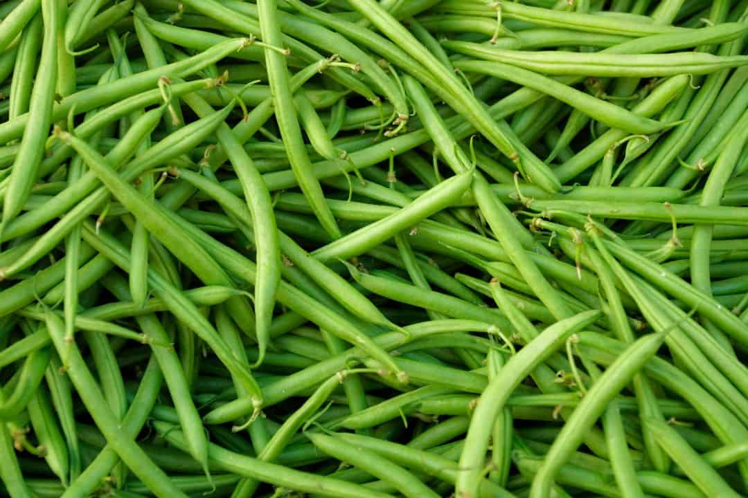 Green beans non perishable thanksgiving food list