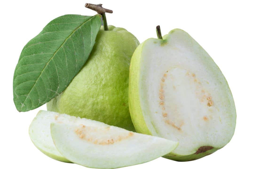 Guava white food list