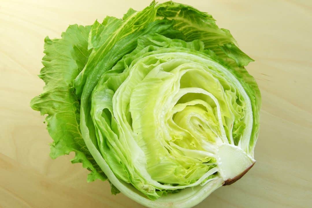 Iceberg lettuce  ideal protein food list