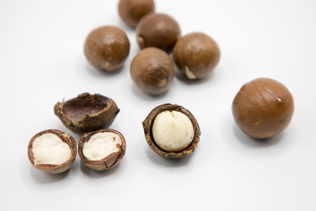 Macadamia nuts white food list