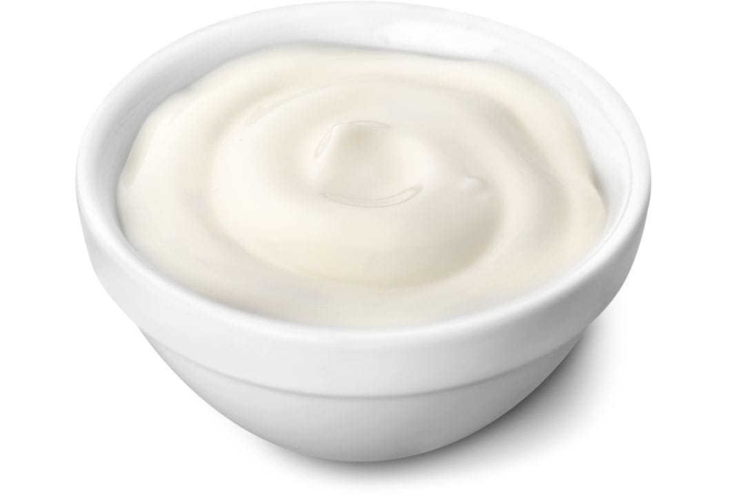 Yogurt ideal protein food list