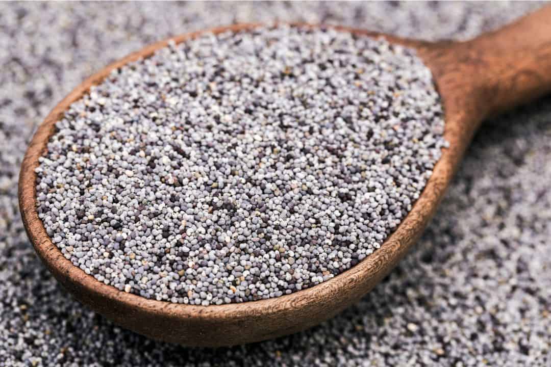 Poppy seeds