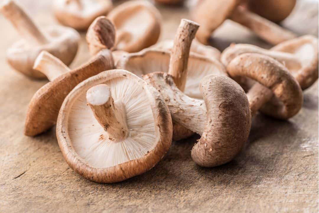 Shiitake mushrooms that help whiten teeth