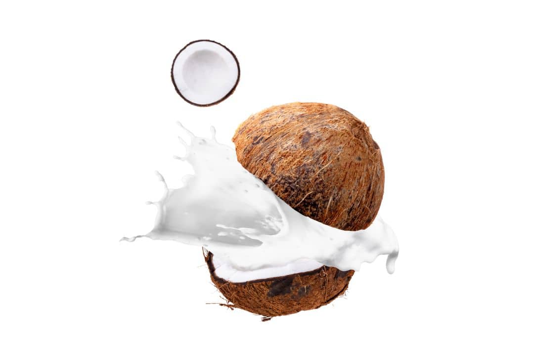 Coconut milk white food list