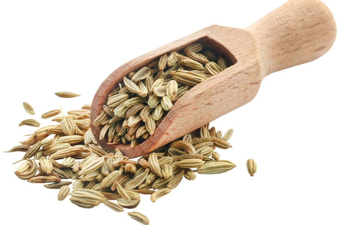 Fennel seeds