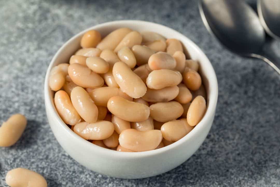 Cannellini beans white food list