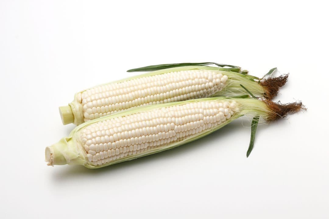 Corn white food list