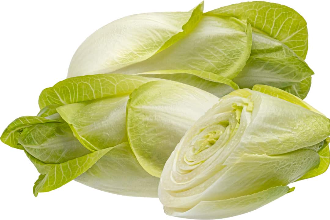 Endive white food list