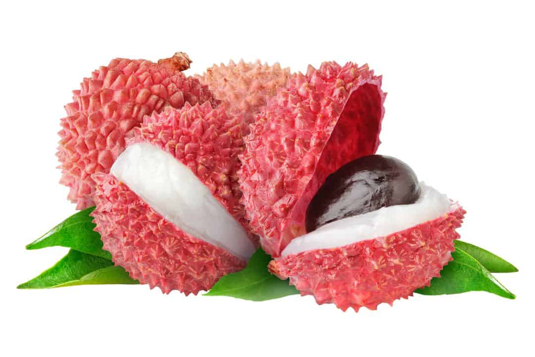 Lychee white food list