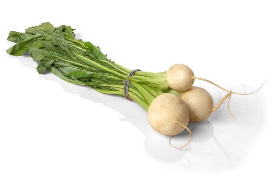 Turnips white food list