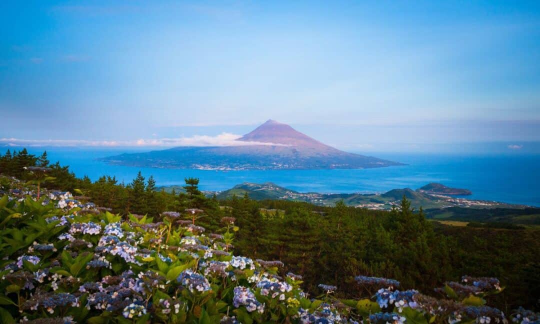 Pico island